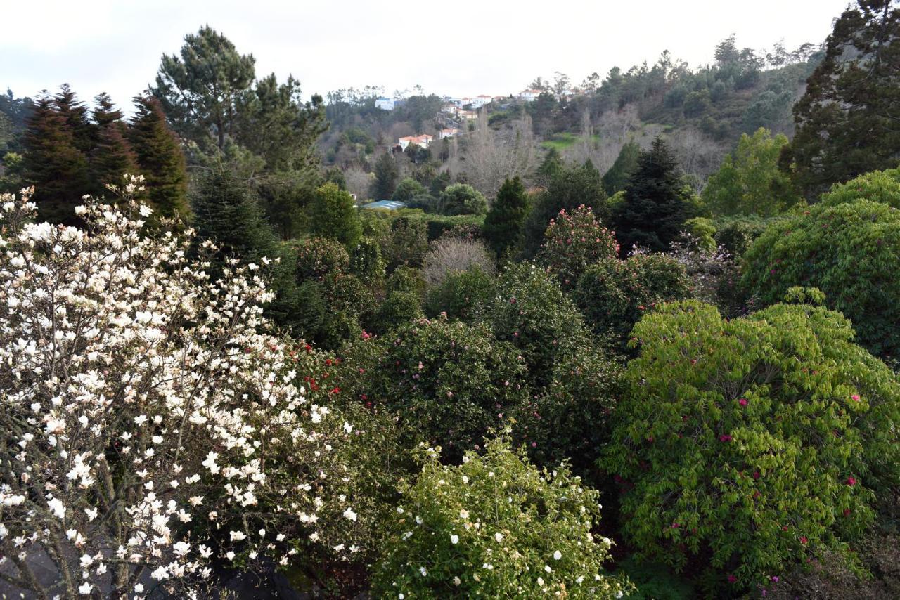 Casas De Pedra Villa Camacha  ภายนอก รูปภาพ